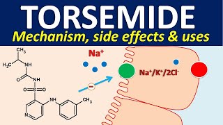 Torsemide  Mechanism side effects and uses [upl. by Neelhsa]