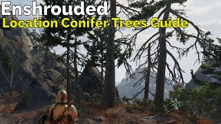 Enshrouded Location Conifer Trees Guide [upl. by Alrak]