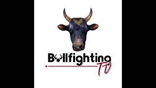 Bullfighting Stamina vs Cartoon Live Stream Malinya Grounds [upl. by Dey]