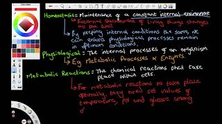 Homeostasis Principles  OCR A Level Biology  Lesson Recording [upl. by Yi]