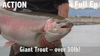 Giant Trout  Over 30lb [upl. by Navarro719]