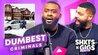 DUMBEST CRIMINALS  ShxtsNGigs Reacts [upl. by Swaine]