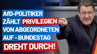 Stephan Brandner zählt Privilegien von Abgeordneten auf  Bundestag dreht durch  AfDFraktion [upl. by Goldfarb]