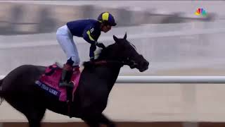 More Than Looks  The 2024 Breeders Cup Mile World Champion  Official Race Video [upl. by Finlay]