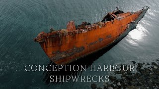 Shipwrecks Conception Harbour Newfoundland  Discovering Newfoundland [upl. by Bob659]