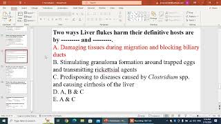 Trematodes 2 التريماتودا الجزء الثاني [upl. by Everett]