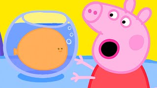 Peppa Pigs Goldie the Fish Becomes Gigantic [upl. by Lobell]