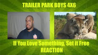 TRAILER PARK BOYS REACTION 4x6 If You Love Something Set it Free REACTION [upl. by Ahsikan]