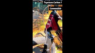 Cannondale Topstone 1 Carbon Lefty [upl. by Erund505]