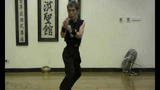 Master Chen Yong Fa teaching DVD series 掛截橫捎捶正版 [upl. by Mettah]