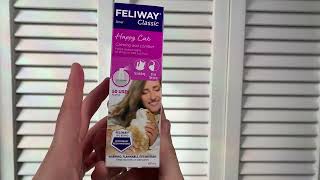 Does the Feliway Spray work Watch to find out [upl. by Adnilrev775]