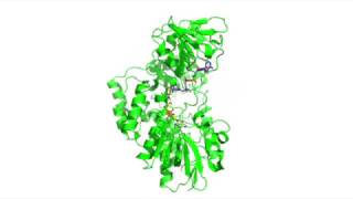 Cyclohexanone Monooxygenase Catalysis [upl. by Amis]