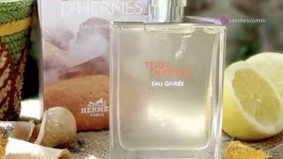 Top Fragrance Expert Reveals Truth About Hermes Terre dHermes Eau Givree [upl. by Cline]