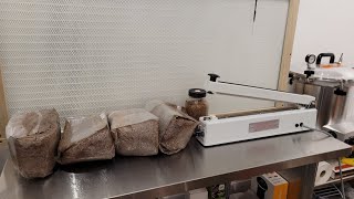 How to inoculate and seal a 5lb sawdust blockspawn bag for home mushroom cultivation [upl. by Kiersten500]