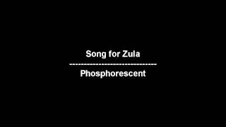 Song for Zula  Phosphorescent  lyrics [upl. by Saxe]