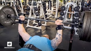 3 Quick Tips To INCREASE Bench Press Strength  Steve Gentili [upl. by Nosmirc258]