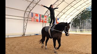 Equestrian Vaulting  1 Star Compulsories At The Trot [upl. by Tanhya]