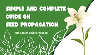 Simple and complete guide on seed propagation part 1 tipsandtricks new vlog flowers view [upl. by Rennane]