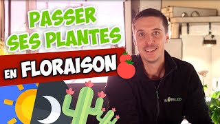 Comment faire passer ses plantes en floraison pour une culture indoor [upl. by Ayikan505]