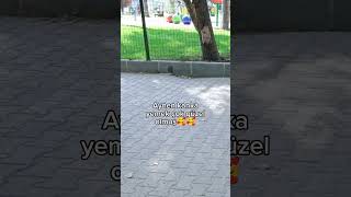 Ellerine sağlık kankam🥰🥰 limontayfa rraenee rraene keşfet [upl. by Fraser432]