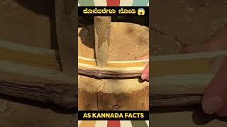 Wooden Chair Making Technique  kannada facts karnataka amazing youtubeshorts trendingshorts [upl. by Decima720]