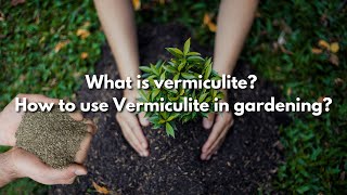 What is vermiculite How to use Vermiculite in gardening [upl. by Ray]