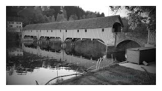 Tauchen im Rhein  Rheinau Alte Zollbrücke [upl. by Ahsilrak]