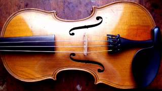 A Brief History of the Violin [upl. by Nivat]