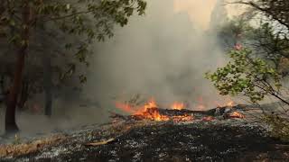 Walbridge fire burns in Sonoma County [upl. by Liartnod582]