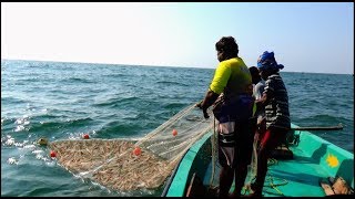 PRAWN CATCHING AT SEA [upl. by Enail638]