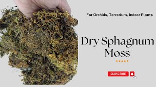 Dry Sphagnum Moss For plants  Use of Moss [upl. by Neslund]