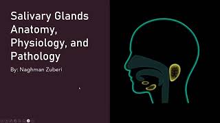 Salivary Glands Anatomy Physiology and Pathology [upl. by Georgeta]