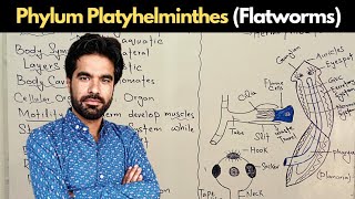 Phylum Platyhelminthes  Flatworms General Characteristics [upl. by Yelsiap]