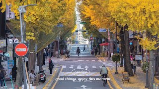 【洋楽playlist】 部屋でかけ流したいお洒落な曲  早起きした朝に聞く気持いい洋楽  🍂 秋の朝にリラックスできる音楽プレイリスト  穏やかなひとときを楽しむ洋楽 作業用BGM [upl. by Yrrah249]