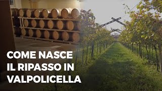 Come nasce il Ripasso in Valpolicella [upl. by Gordie]