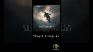 Michael Pos  Stranger in a Strange Land  OFFICIAL AUDIO michaelpos eclecticrootsgroove [upl. by Elleined]