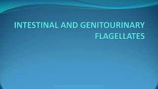 Intestinal and genitourinary flagellates [upl. by Maggie]