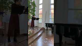 You Raise Me Up Violin and Piano [upl. by Orferd]