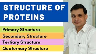 Protein structure  Primary Secondary Tertiary and Quaternary structure of proteins  Biochemistry [upl. by Glick]