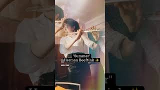 Herman Beeftink  Summer  Flute cover [upl. by Atarman]