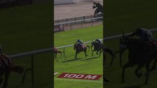 Kyprios Becomes Aidan OBriens Most Successful G1 Winner QPAT [upl. by Jablon298]