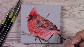 Cardinal Acrylic Painting  TimeLapse Painting  Mini Canvas Ideas [upl. by Searcy306]