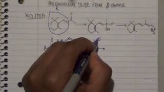 Key to Manufacturing Vitamin A Phosphonium ylide from Betaionone [upl. by Nihi72]