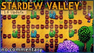 Stardew Valley 542  Collecting Lots of Truffles [upl. by Anairb638]