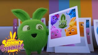 SUNNY BUNNIES  FAMILY TIME COMPILATION  Cartoons for Kids [upl. by Elatnahc]