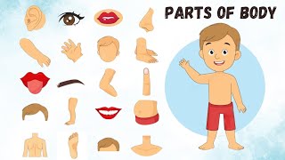 Learn Parts Of Body Name for Kids  English Vocabulary Lesson  Human Body Parts [upl. by Tenom]