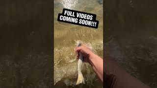 Fishing Dauphin Island Alabama More Videos to come fishing alabama surffishing [upl. by Armyn330]