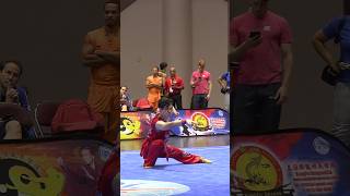 Rasa Rahnema 🇨🇦 Nanquan performance 🔥🔥🔥 rage nanquan kungfu wushu [upl. by Aeuhsoj]