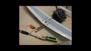 DX6i For Mini DLG with Aileron Setup Video [upl. by Anaed]