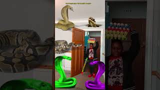 Animal funny video Anaconda snake python in my house in real life bhoot wala usa bhojpuri vfx p18 [upl. by Leveroni]